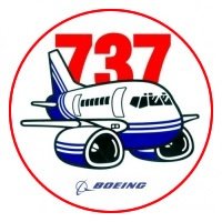 Award concedida a qualquer piloto com no mínimo 50 horas no equipamento B733/4/7/8.